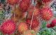 thum-9210316_iKBqZATo3H_1756289164.jpg