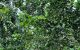 thum-9210318_DQzTJCAENR_1756289692.jpg