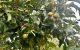 thum-9210318_Dmrhxw4vlE_1756289684.jpg
