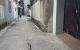 thum-9210356_tQPVMZDN4a_1756346288.jpg