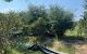 thum-9210440_5Axyz8h324_1756389902.jpg