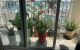 thum-9210477_ERQpsWfBmD_1756436233.jpg
