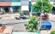 thum-9210540_SAK0axTEWB_1756520307.jpeg