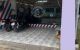 thum-9210625_oze4HpIh9r_1756634893.jpg