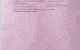 thum-9210668_kXpJKNL1i4_1756702398.jpeg