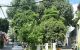 thum-m_Dxyswa0kQN_1756740530.jpg