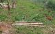 thum-9210714_yrHvY3J9sm_1756792924.jpg