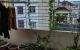 thum-9210731_dfuM2BKRq6_1756805976.jpg