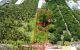 thum-9210832_rxZ2gTsGbM_1756900075.jpg