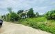 thum-m_1MKFSdyxcJ_1756900578.jpg