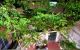 thum-m_h1qrGQCRJV_1756910219.jpg
