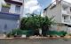thum-m_ugWA7ydvrj_1756885536.jpg