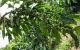 thum-9211046_sM1wKT6d50_1757061896.jpg