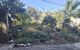 thum-9211062_vGeLDbRpaw_1757065624.jpg