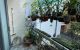 thum-9211408_zQV4qU6ypr_1757409706.jpg