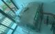 thum-m_uoct4QmYHB_1757422633.jpg