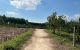thum-9211450_7vbZVoJOK8_1757466720.jpg