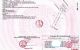 thum-9211465_3Wj61Khgc5_1757471474.jpg