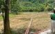 thum-9211610_g6yt0bV1dT_1757547470.jpeg