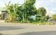 thum-9211620_s8jJqfmbFZ_1757555342.jpg