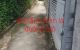 thum-9211645_PNbaumWoSy_1757560967.jpg