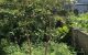 thum-9211690_crhpeCqlGO_1757576423.jpg