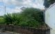 thum-9211768_HYyish5xCT_1757640568.jpg