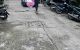 thum-9211786_6o0vESdFCr_1757645296.jpg