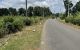 thum-9211826_543wkyQhzL_1757656843.jpeg