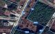 thum-9212037_dJlAUebugY_1757803769.jpg