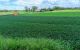 thum-m_2JLP91rsWI_1757901712.jpg