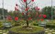 thum-m_FLExsW7Ojf_1757950547.jpg