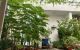 thum-9212291_ETylophGX1_1757994714.jpeg