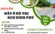 thum-9212370_9nPMoRaYvB_1758014608.jpg