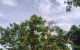thum-9212508_XLCGxMzB0Q_1758104476.jpg