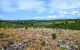 thum-9212514_zV3XefbUvg_1758106579.jpg