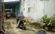 thum-9212659_dQVhw0Y9yp_1758203958.jpg