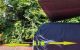thum-m_Q2jgm1vXcx_1758200940.jpg