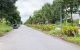 thum-m_zpHFZ0431y_1758162908.jpg