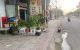 thum-9212926_rWI03nYZwb_1758457234.jpeg