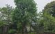 thum-m_xmXUlb2Lg3_1758450813.jpg