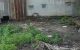 thum-9212976_jO8IAFekKo_1758513004.jpg