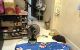thum-9213008_3jHhQ0WTiv_1758528808.jpg