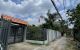 thum-9213030_OrB1436Pgn_1758535713.JPG
