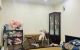 thum-9213231_Ar8GixM5gu_1758682720.jpg