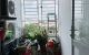thum-9213413_0WxnFta3uP_1758778792.jpg