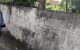 thum-9213703_5I7wtyGM3l_1758968538.jpg