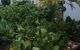 thum-9213703_fj4kwpgKrm_1758968559.jpg