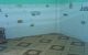 thum-9213848_VoGcIP41LU_1759338786.jpg