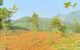 thum-9213922_8w1cB4ivWK_1759392810.jpg